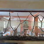 Ristorante Caligiuri Hotel Decollatura