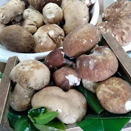 Ristorante Caligiuri 酒店 Decollatura