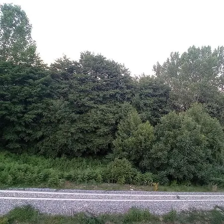 Ristorante Caligiuri 3*