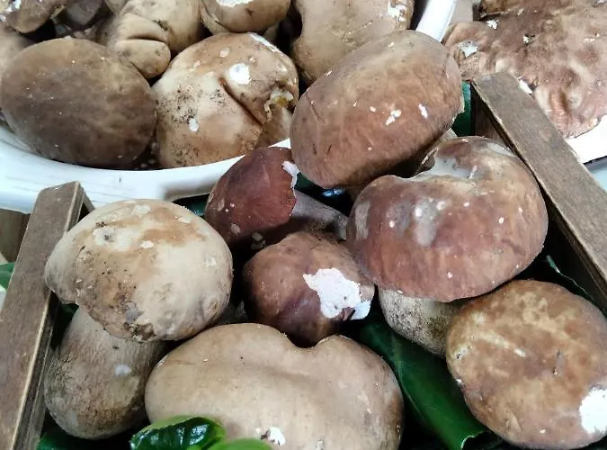 Ristorante Caligiuri Szálloda Decollatura